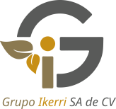 Grupo Ikerri